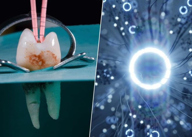 Hemos desarrollado un implante dental que parece sacado de ‘Blade Runner’: crece y es capaz de ‘hackear’ el cerebro