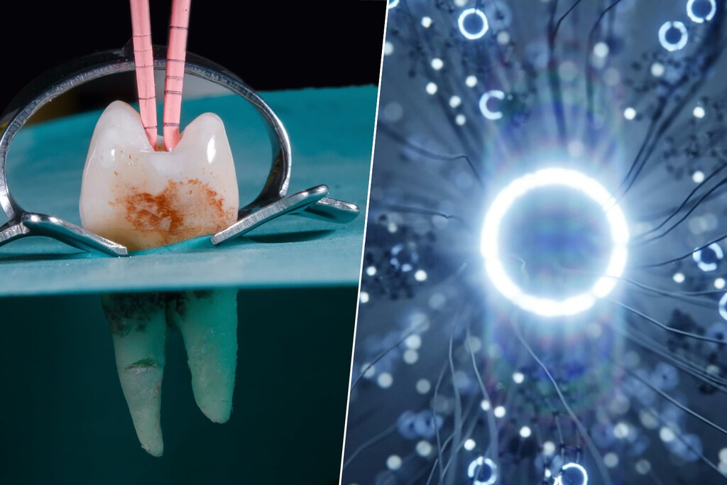Hemos desarrollado un implante dental que parece sacado de ‘Blade Runner’: crece y es capaz de ‘hackear’ el cerebro