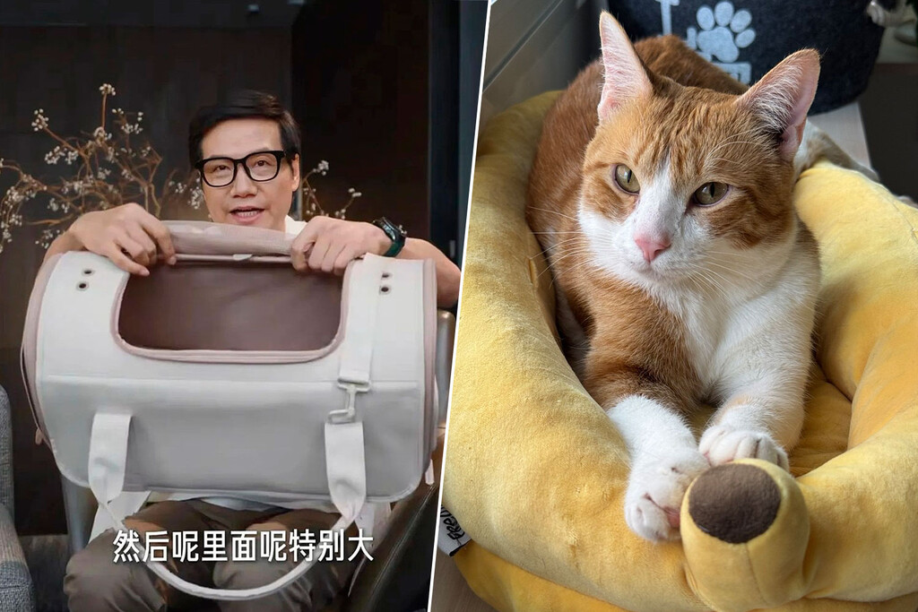 El CEO de Xiaomi salió en un vídeo enseñando un nuevo producto y se agotó en minutos. Era un transportín para gatos