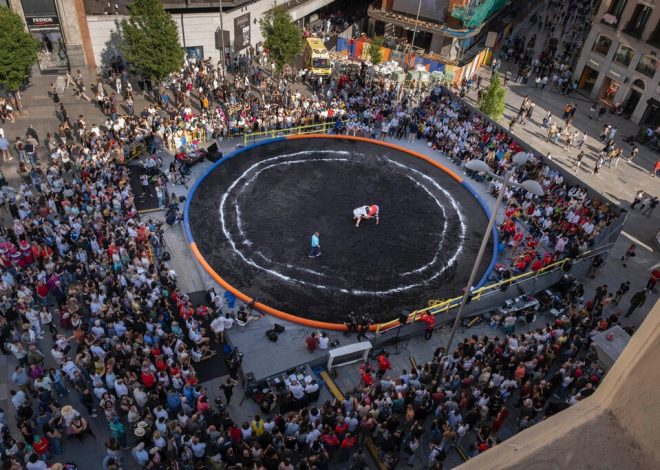En Madrid hay 24 toneladas de arena volcánica canaria dando tumbos. Así que se convertirán en un «jardín seco»