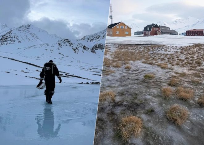 Algo extraño está pasando este año en el archipiélago de Svalbard