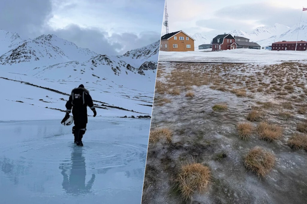Algo extraño está pasando este año en el archipiélago de Svalbard